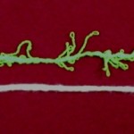 Cotton Yarn (bottom) vs Scrubby Yarn (top)