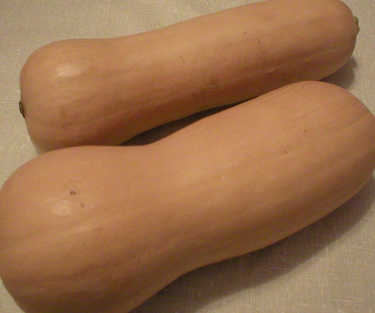 what herbs spices go with butternut squash