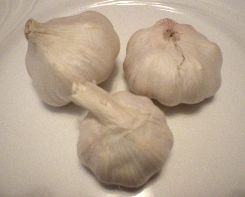 Garlic Powder vs Fresh Garlic