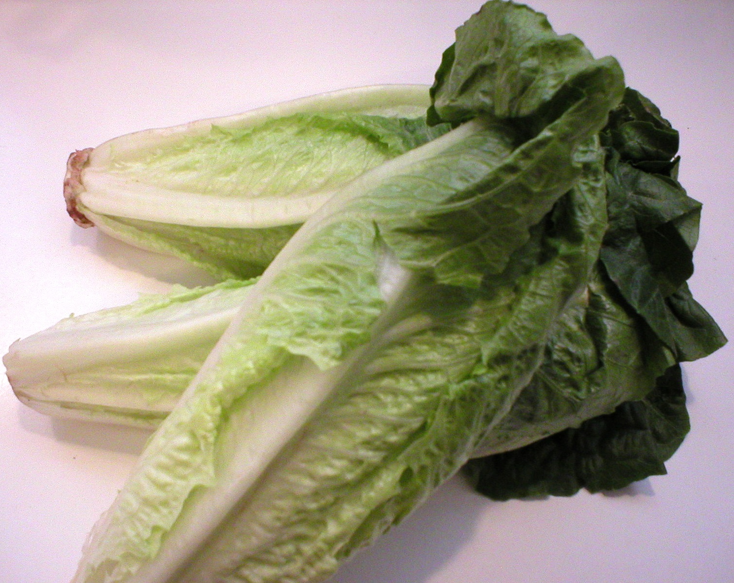 about Romaine lettuce