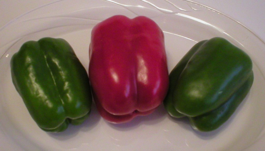 Bell Peppers 101 – The Basics