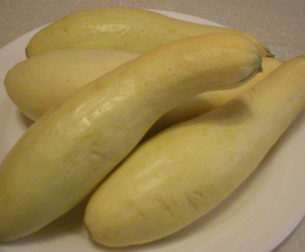 Yellow Squash