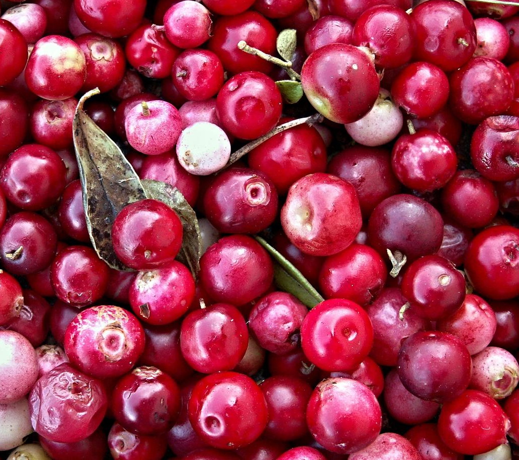 suggested flavor combinations combos cranberries