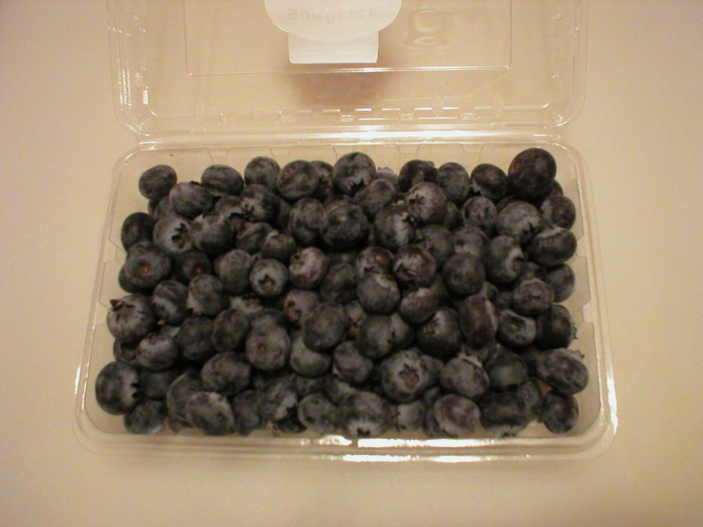 extend shelf life of blueberries