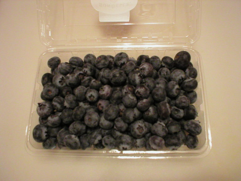 extend shelf life of blueberries