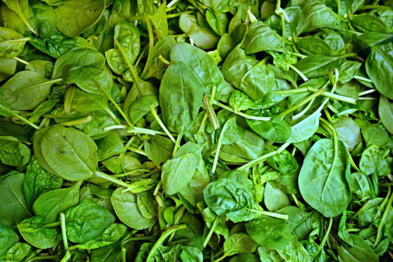herbs spices that go with spinach