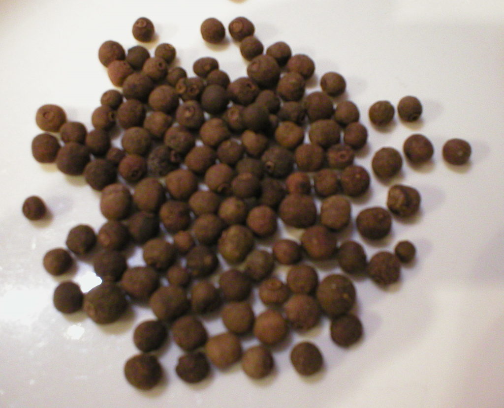 Allspice 101 The Basics