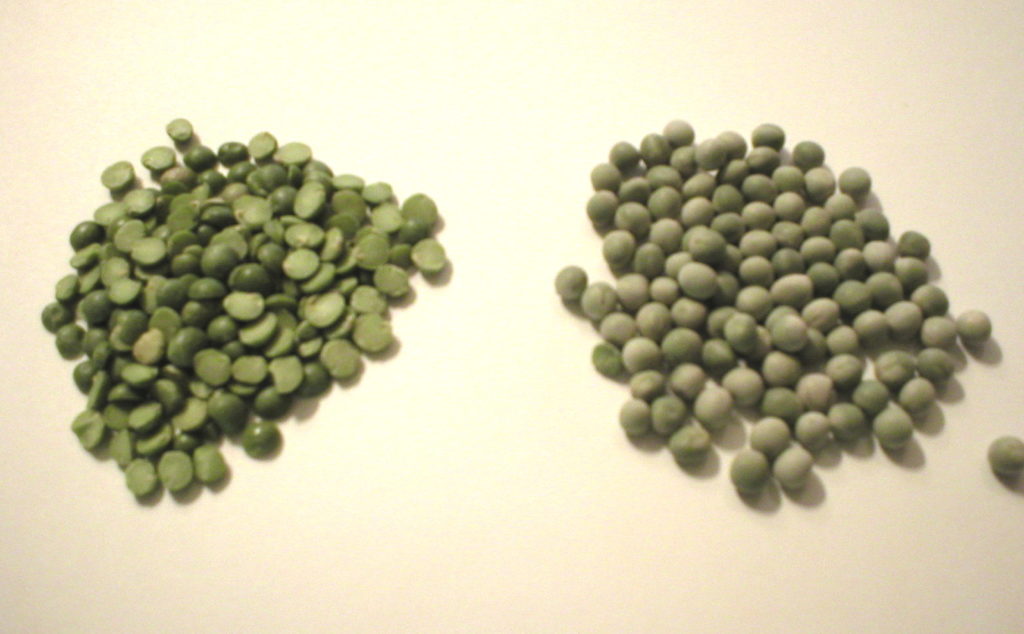 Dried Green Peas Whole vs. Split A Comparison