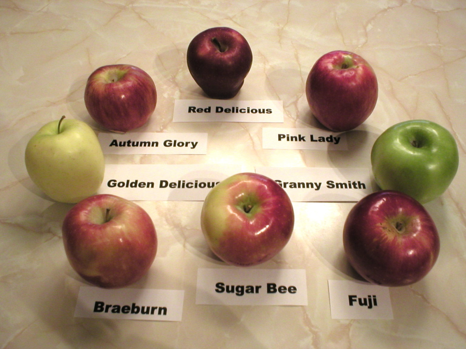 Apples 101 About SugarBee Apples