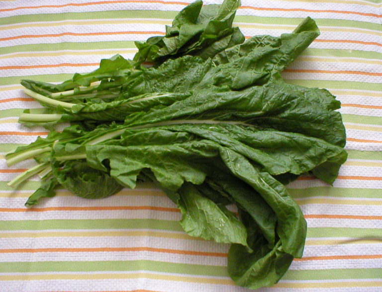 how to freeze turnip greens