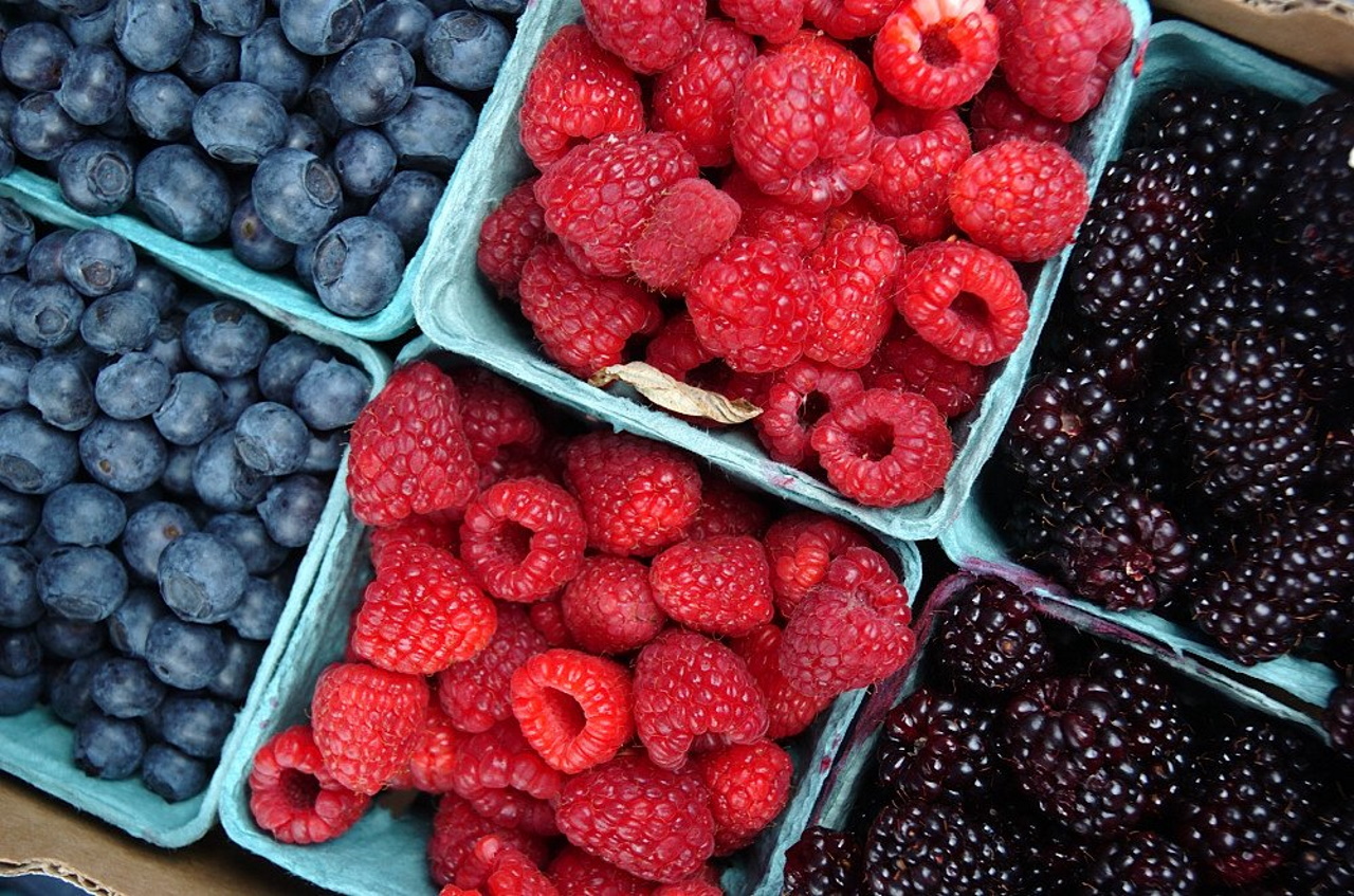 Ягода обработка. Ягода обработка. Первичная обработка фруктов и ягод. Защита земляники от вредителей и болезней. Мучнистая роса на клубнике.